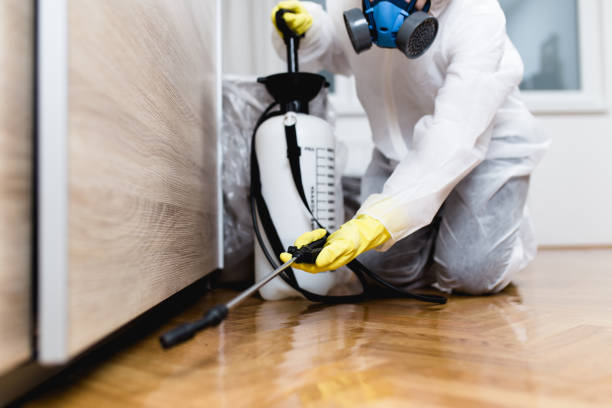 Best Emergency Pest Control  in Olivet, MI