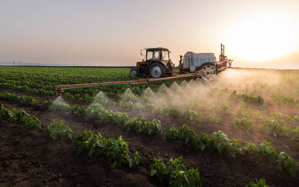 Best Mosquito Control Services  in Olivet, MI