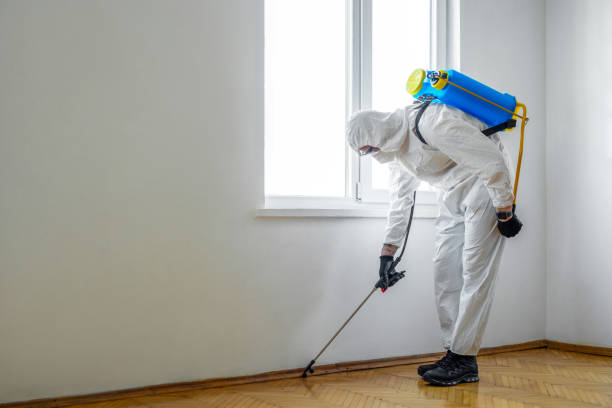 Best Commercial Pest Control Services  in Olivet, MI