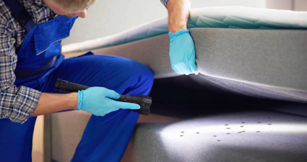 Best Pest Inspection Near Me  in Olivet, MI