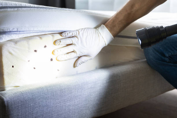 Best Best Pest Control Companies  in Olivet, MI