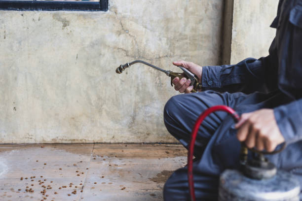 Best Pest Inspection Near Me  in Olivet, MI